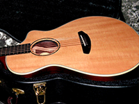 Breedlove Premier Concert Rosewood